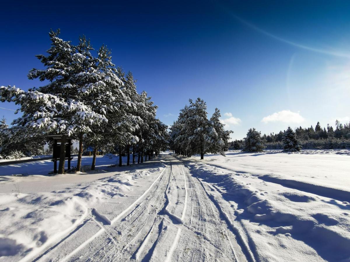 Domki Baligowka Aurelia I Maximus Zakopane Exterior foto